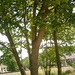 Square