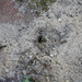 Square