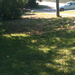 Square