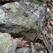 Square