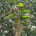 Square