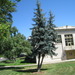 Square