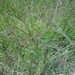 Square
