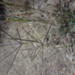 Square