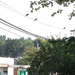 Square