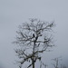 Square