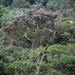 Square