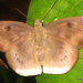 Square