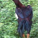 Square