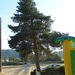 Square