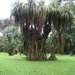 Square