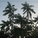 Square