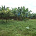 Square