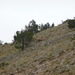 Square