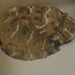 Square