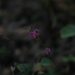 Square