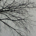 Square