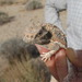Square