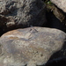 Square