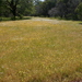 Square