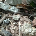 Square