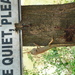 Square