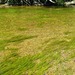 Square