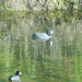 Square