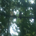 Square