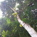 Square
