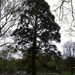 Square