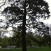 Square