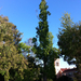 Square