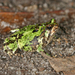 Square