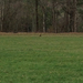 Square