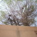 Square