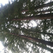 Square