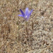 Square