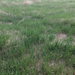 Square