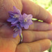 Square