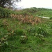 Square