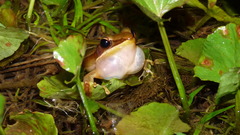Small