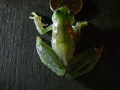 Small