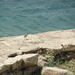Square
