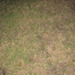 Square