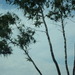 Square