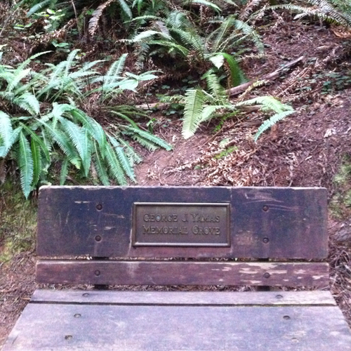 Medium