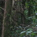 Square