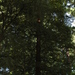 Square