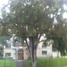 Square
